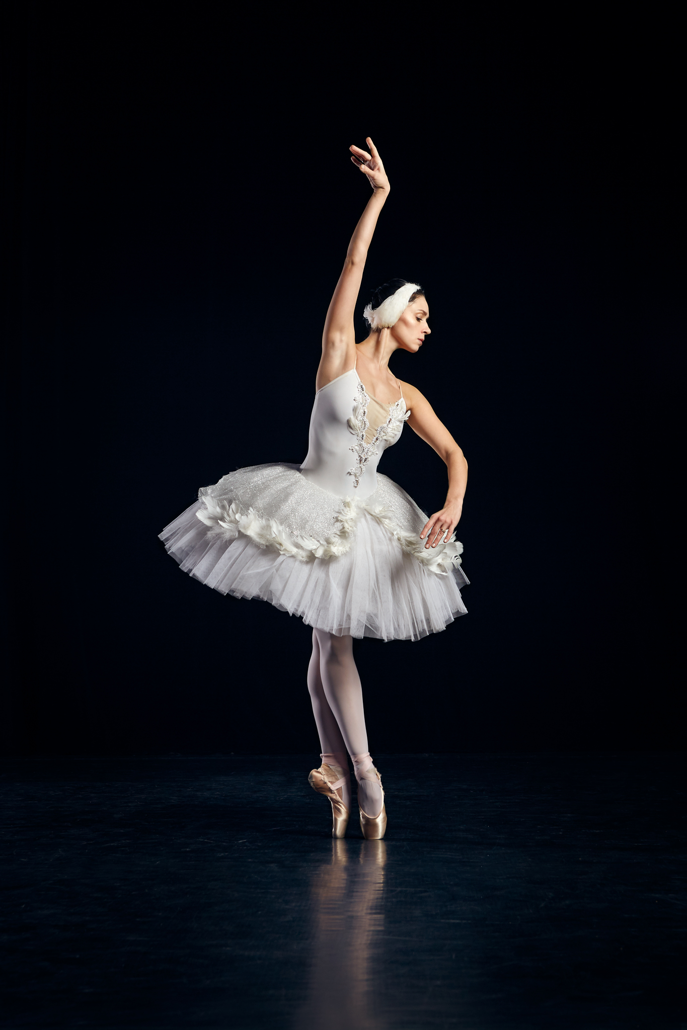 Swan Liubov Chmelevska